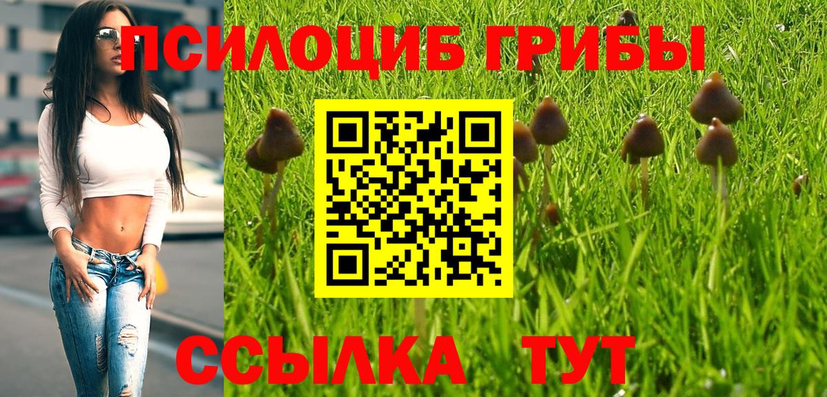 Конаково  Галлюциногенные грибы Psilocybine cubensis  Вход с VPN 